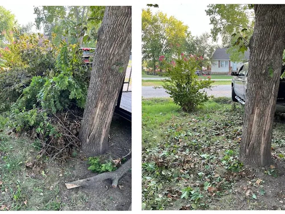 A before-and-after photo showing brush and branches around a tree on the left and the cleared ground with the trailer visible on the right.